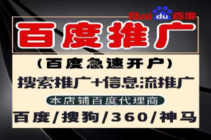 百度竞价排名服务：实战案例解析与优化技巧